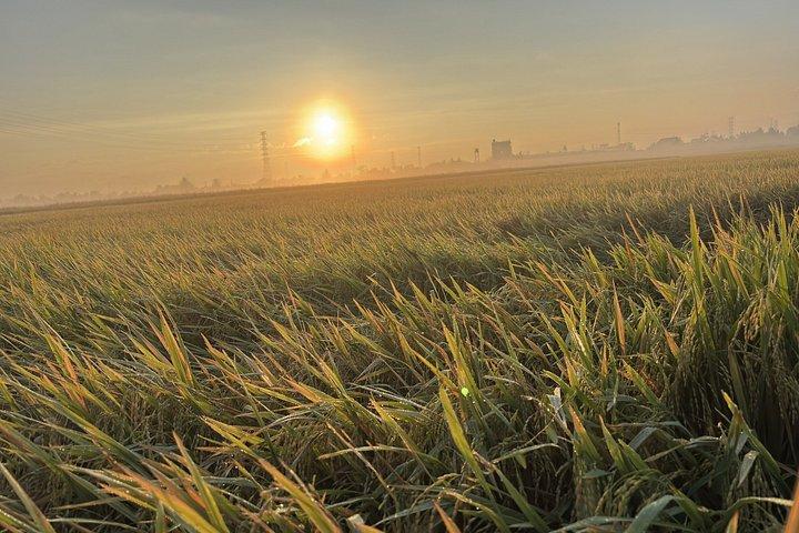 NEW|メコンデルタアドベンチャーサンセットツアー-プライベート日帰り旅行