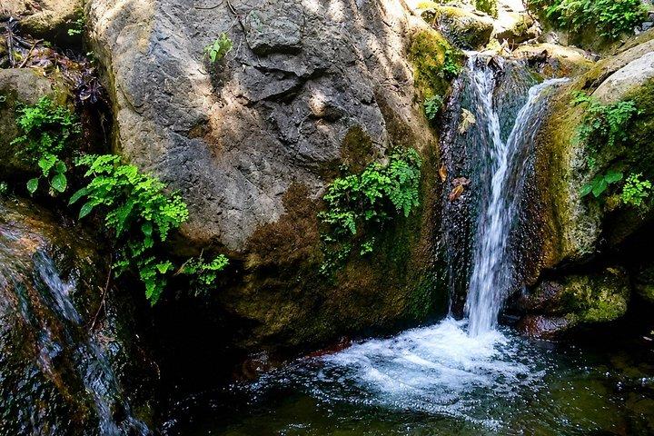 Rishikesh : Randonnée dans les grottes de l'Himalaya avec visite de l'ashram des Beatles