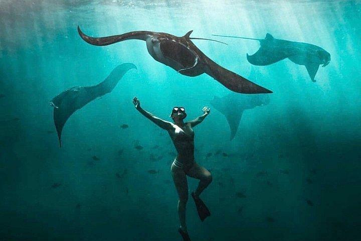 Nusa Penida Snorkeling e tour privato della terra (tutto incluso)