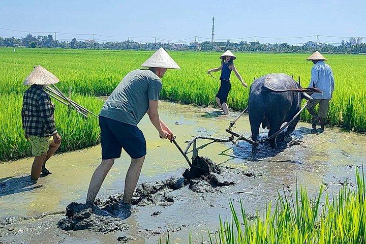 プライベート半日スクーターアドベンチャーでホイアンの地元民のように暮らそう