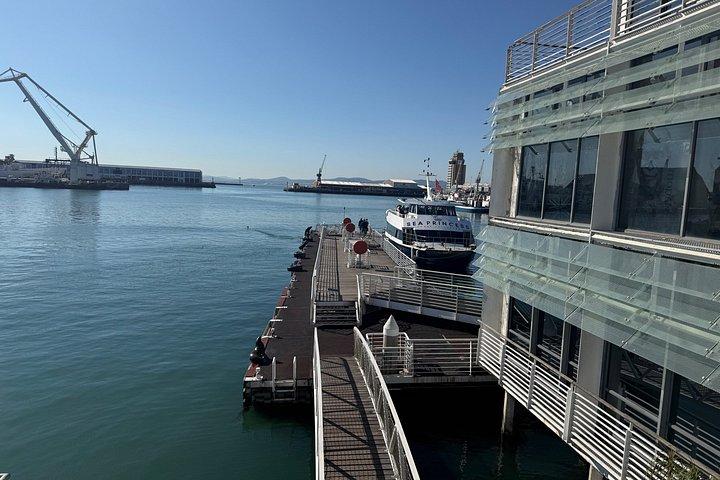 Pre-Booked Ticket Robben Island and Table Mountain Private Tours