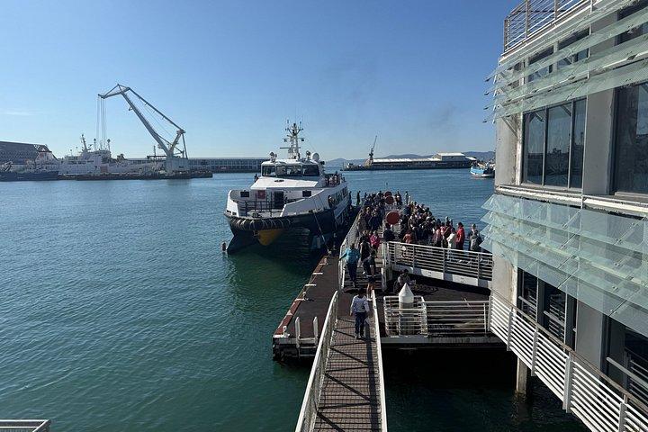Pre-Booked Ticket Robben Island and Table Mountain Private Tours