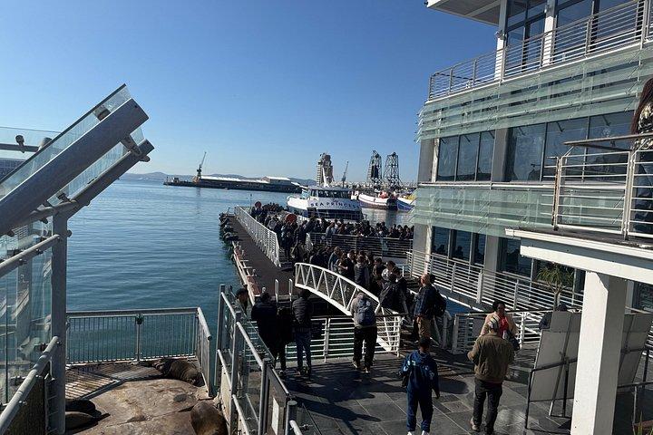 Pre-Booked Ticket Robben Island and Table Mountain Private Tours