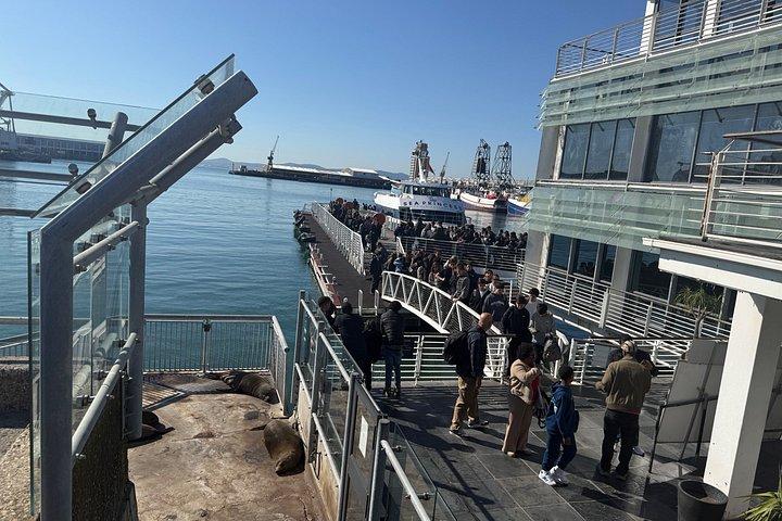 Pre-Booked Ticket Robben Island and Table Mountain Private Tours