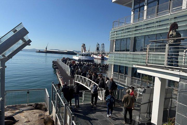 Pre-Booked Ticket Robben Island and Table Mountain Private Tours
