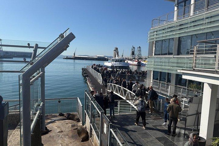 Pre-Booked Ticket Robben Island and Table Mountain Private Tours
