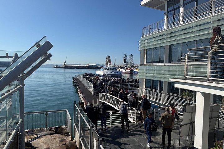 Pre-Booked Ticket Robben Island and Table Mountain Private Tours