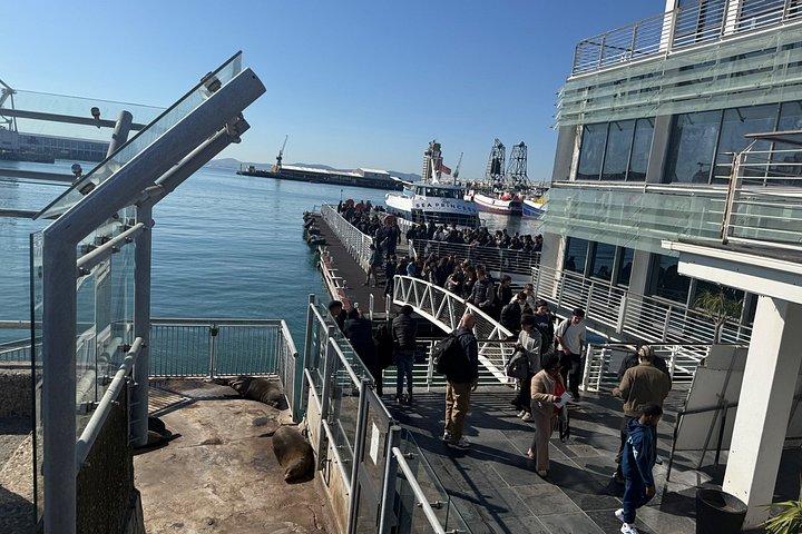 Pre-Booked Ticket Robben Island and Table Mountain Private Tours