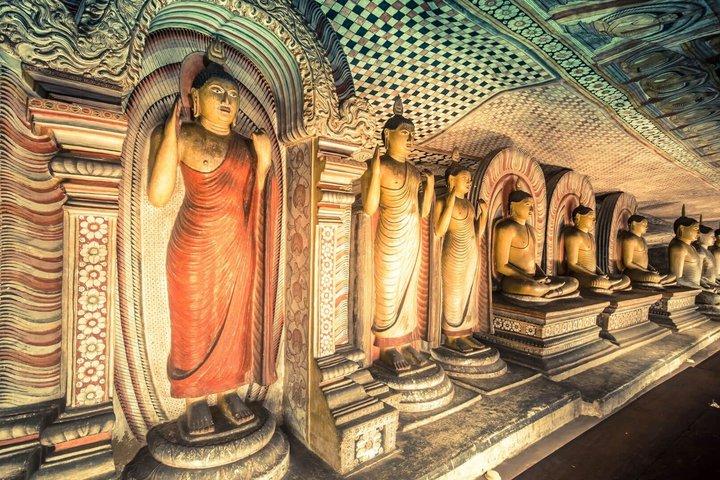 Sigiriya Rock Fortress & Dambulla Cave Temple Dagstur från Kandy