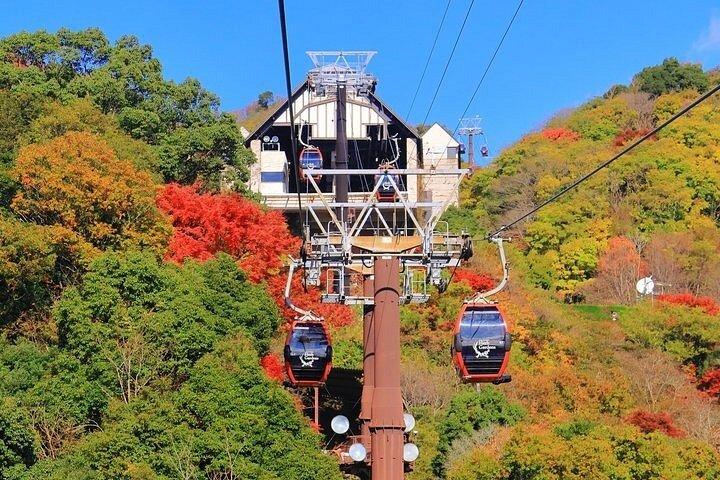 プライベートラグジュアリーバンと現地ガイド付き8時間カスタム関西ツアー