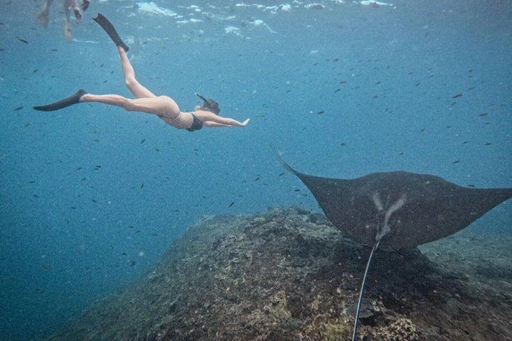 バリ島ヨットクルーズマンタレイシュノーケリングとペニダ島