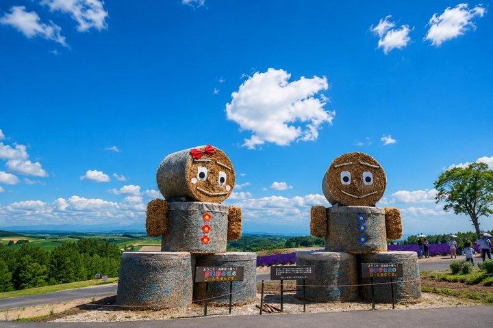札幌発 富良野美瑛青い池と夕日ネイチャーツアー