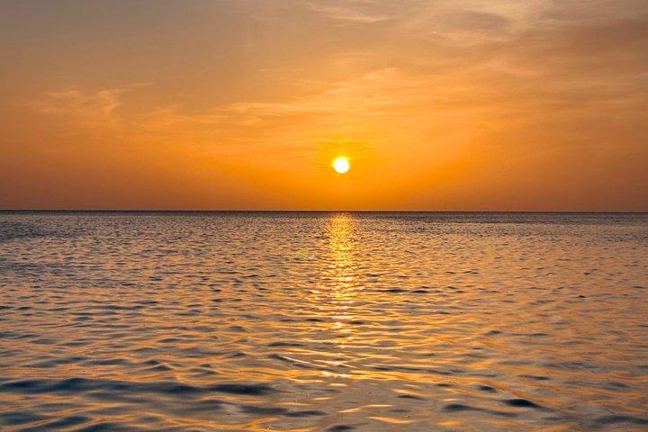 Kajakoplevelse gennem Holbox-mangroveskovene