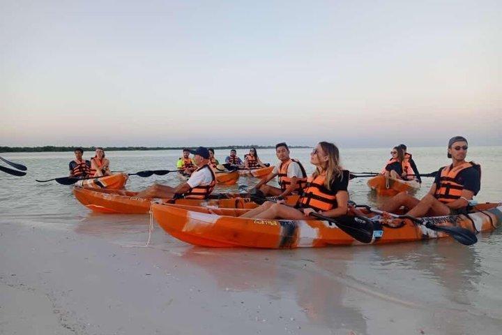 Kajakoplevelse gennem Holbox-mangroveskovene