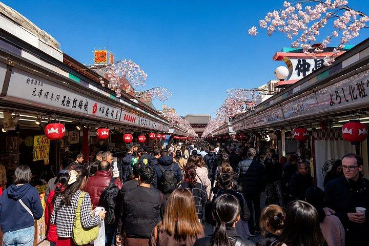 東京プライベート日帰りツアー:名所から夜景まで