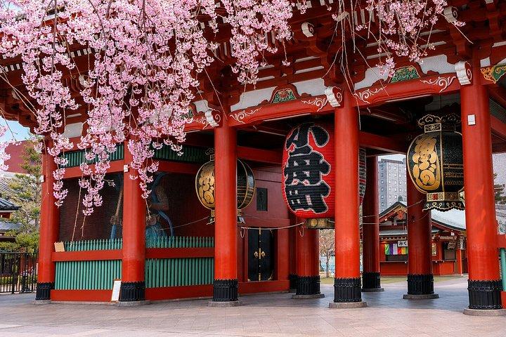 東京プライベート日帰りツアー:名所から夜景まで