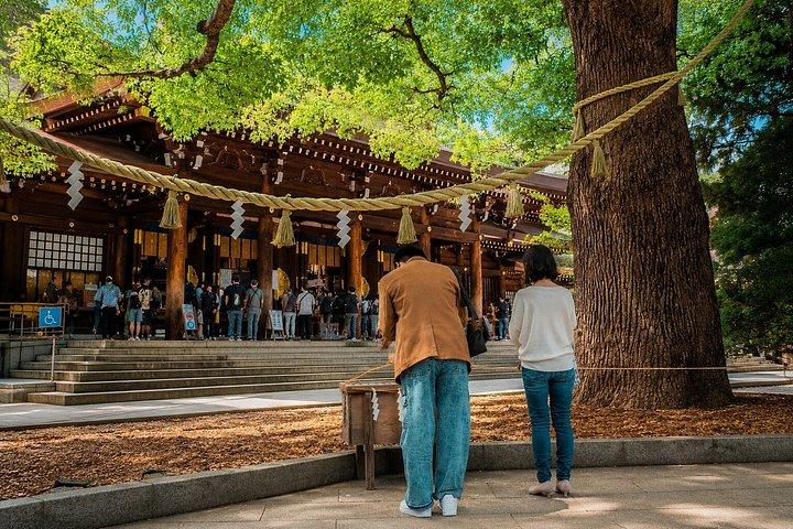 東京プライベート日帰りツアー：名所から夜景まで