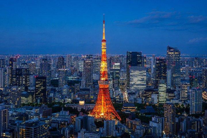 東京プライベート日帰りツアー：名所から夜景まで