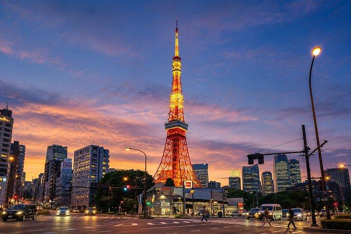 東京プライベート日帰りツアー：名所から夜景まで