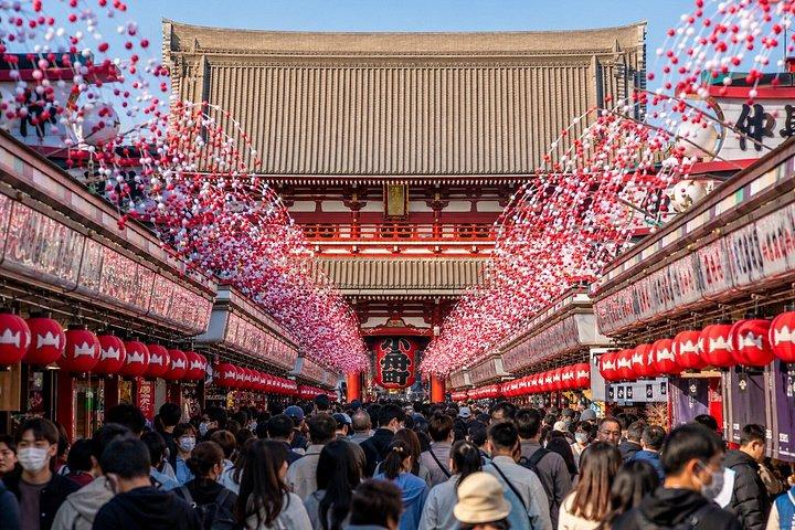 東京プライベート日帰りツアー：名所から夜景まで