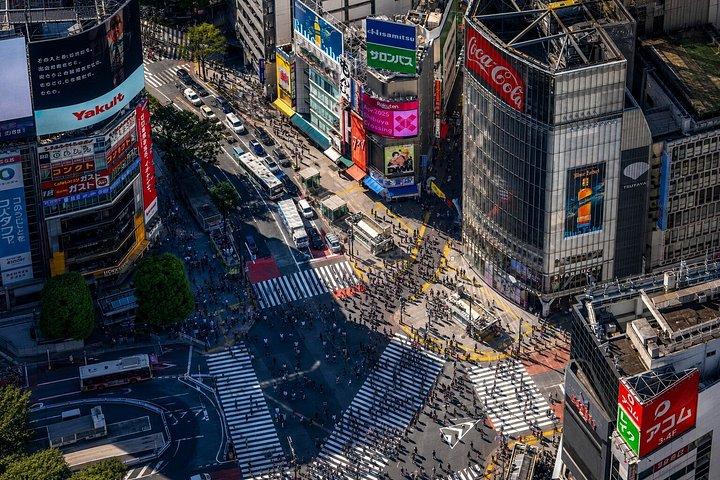 東京プライベート日帰りツアー：名所から夜景まで