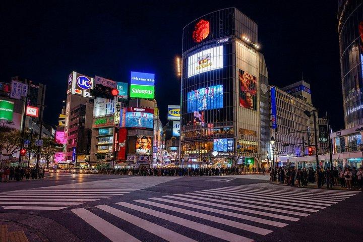 東京プライベート日帰りツアー：名所から夜景まで