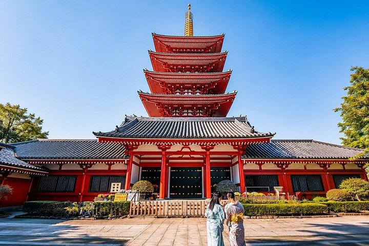 東京プライベート日帰りツアー：名所から夜景まで