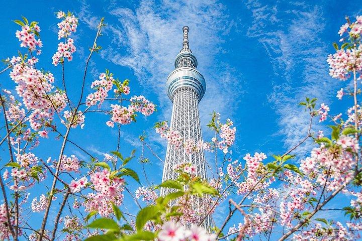 東京プライベート日帰りツアー：名所から夜景まで