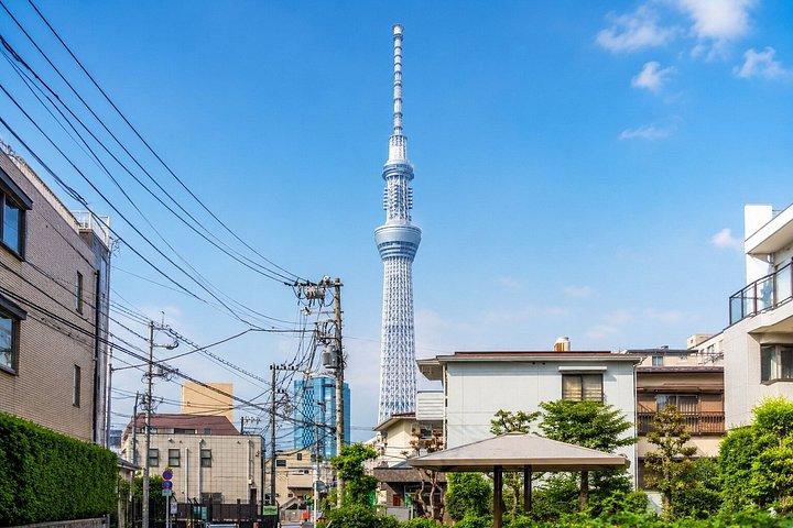 東京プライベート日帰りツアー：名所から夜景まで