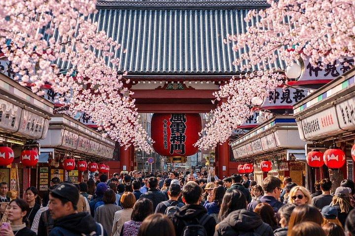 東京プライベート日帰りツアー：名所から夜景まで