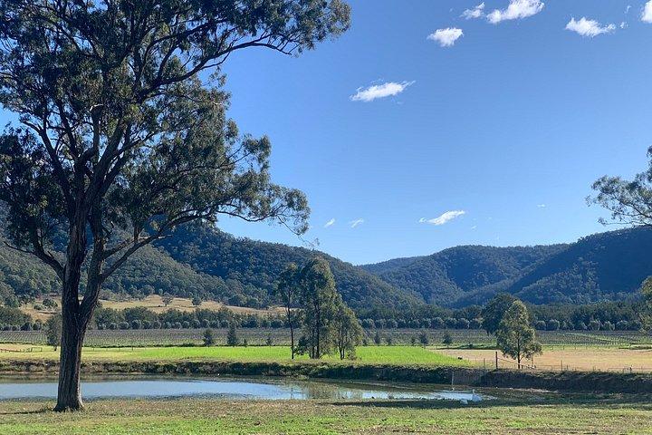 Private Hunter Valley Luxury Tour From Sydney include tastings