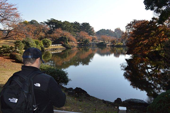 新宿御苑の紅葉散策、東京へ