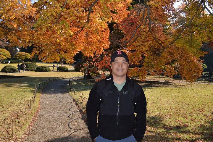 新宿御苑の紅葉散策、東京へ