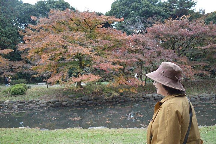 新宿御苑の紅葉散策、東京へ