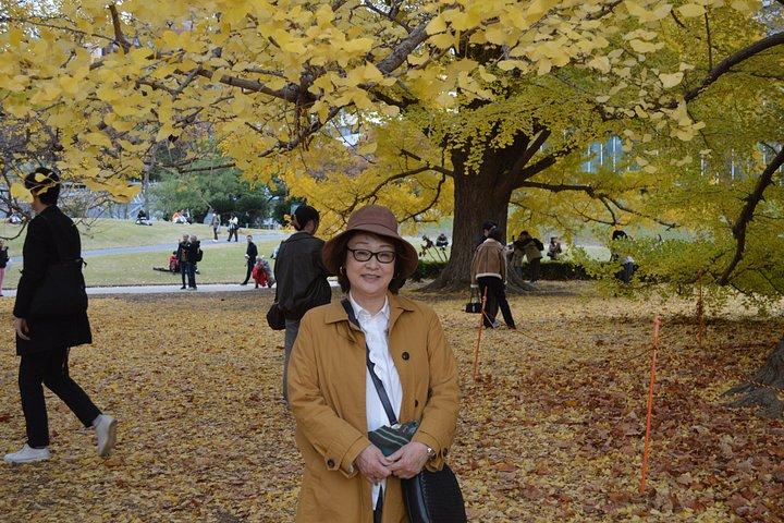 新宿御苑の紅葉散策、東京へ