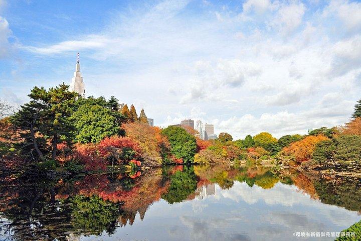 新宿御苑の紅葉散策、東京へ