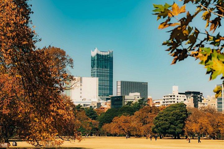 新宿御苑の紅葉散策、東京へ