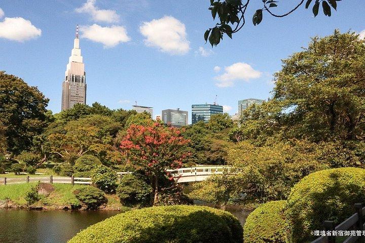新宿御苑の紅葉散策、東京へ