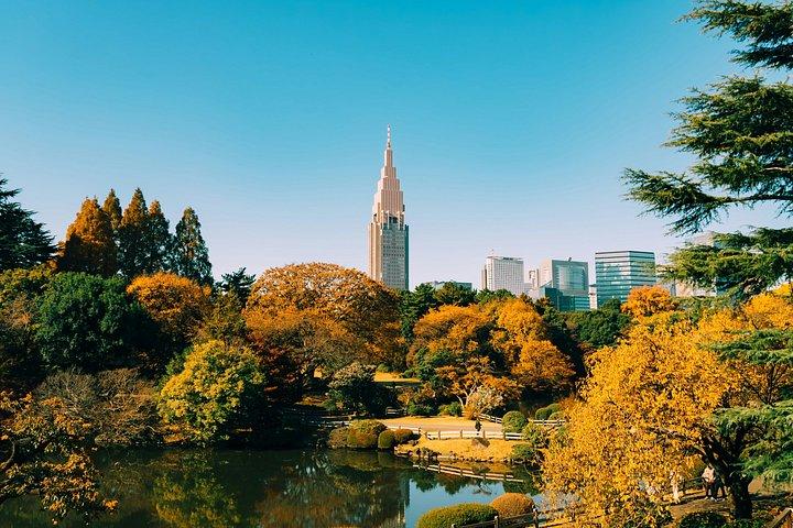 Shinjuku Gyoen Herbstblätter Schlendern in Tokio