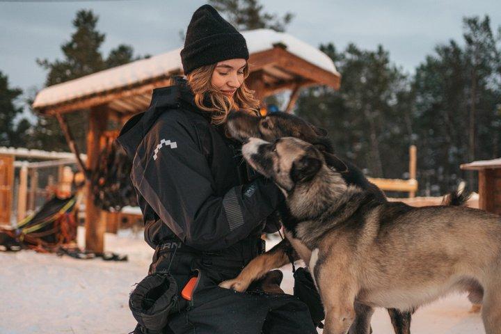 Tour en traîneau à chiens et câlins avec des huskys