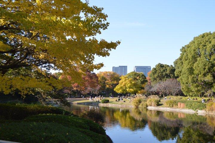 東京御苑紅葉散歩