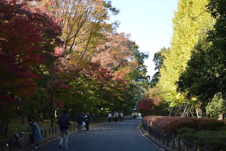 東京御苑紅葉散歩