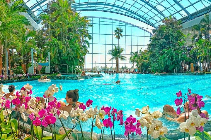 Relaxe e divirta-se no Thermal Spa Bucareste (bilhete de entrada)