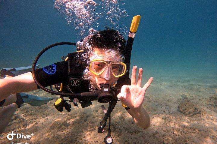 Buceo premium en doble costa en Atenas para buzos certificados