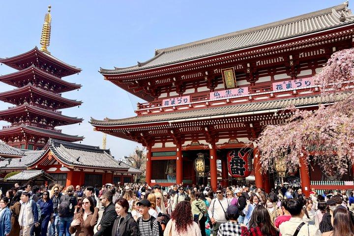 Tokyo Private Custom Tour by Car & Guide: Tsukiji, Asakusa & More