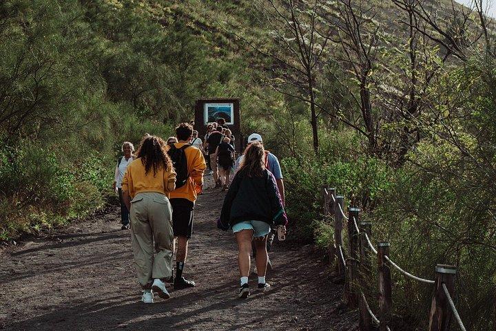 Mount Vesuvius Skip the Line Ticket + Multilingual Audio Guide
