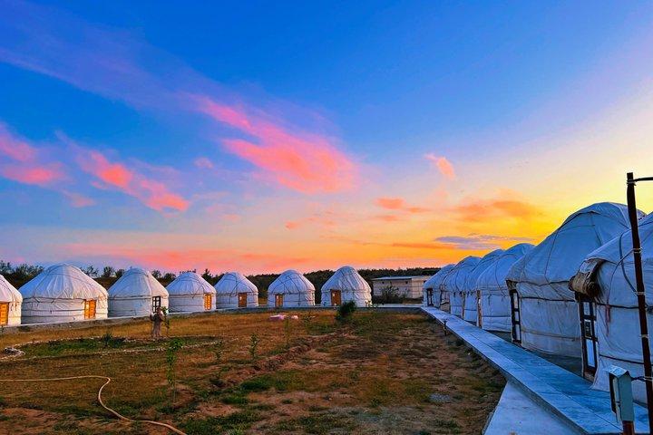 From Bukhara or Samarkand 2 Day Aydarkul Lake and Yurt Camp Tour