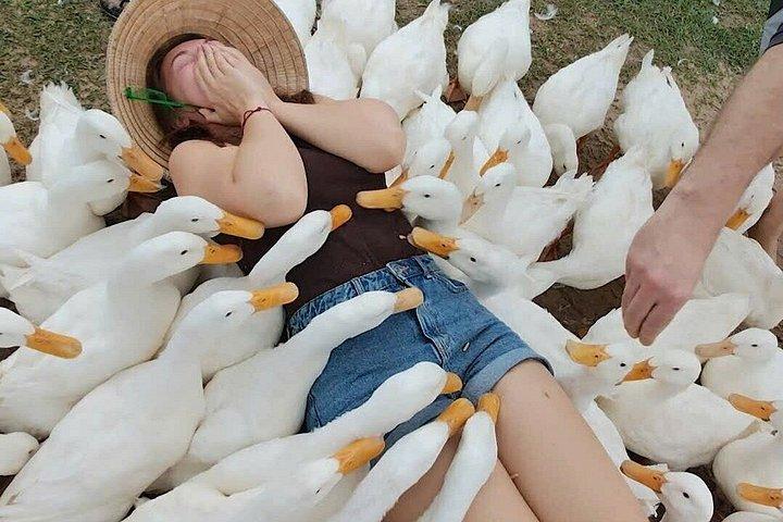 ホイアンコーヒーメーカー教室とダックリーダーカントリーサイドツアー