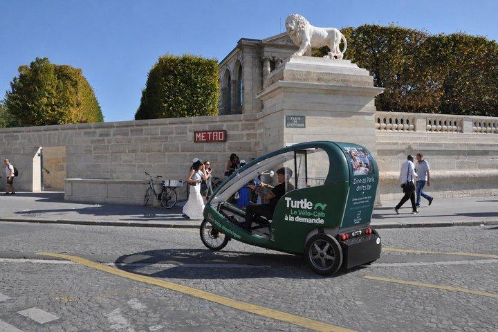 Paris on your Terms: Private Pedicab with Driver Half or Full Day