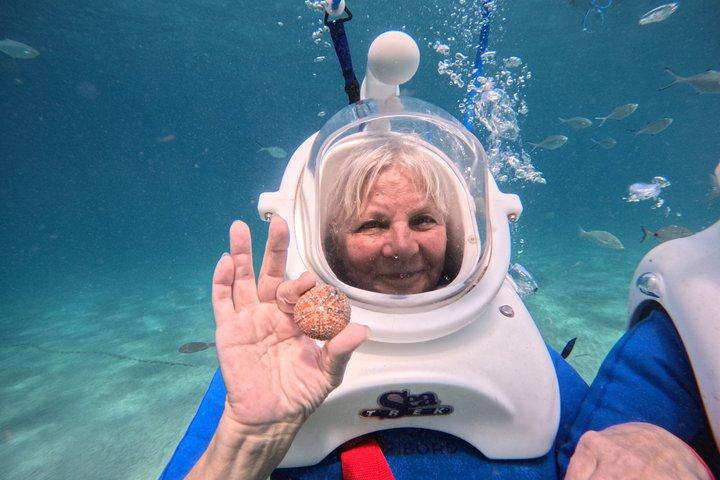 テネリフェのシートレック水中散歩-水泳不要